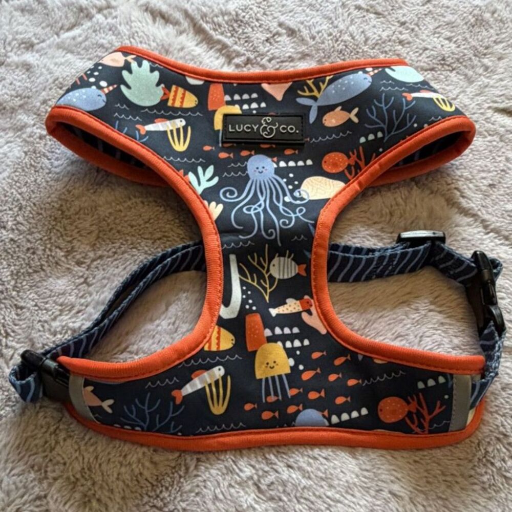 LUCY & CO dog harnesses XL